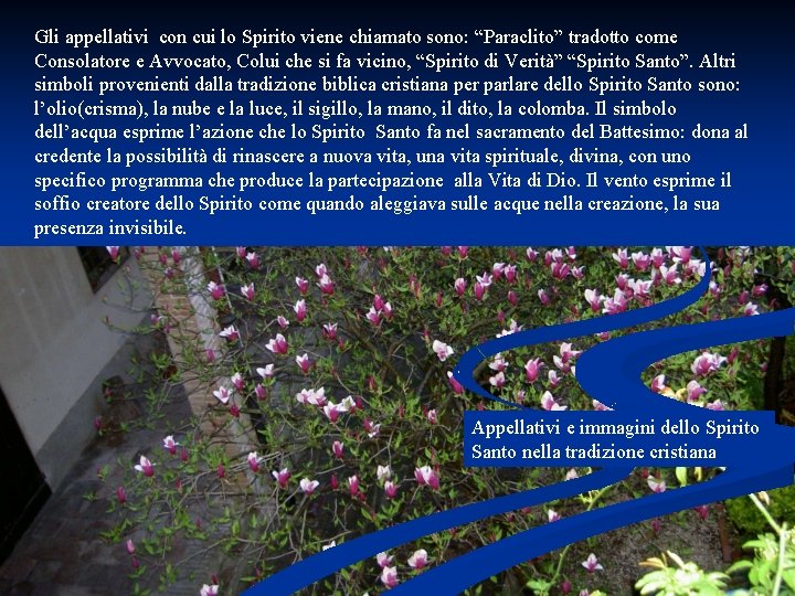  Gli appellativi con cui lo Spirito viene chiamato sono: “Paraclito” tradotto come Consolatore