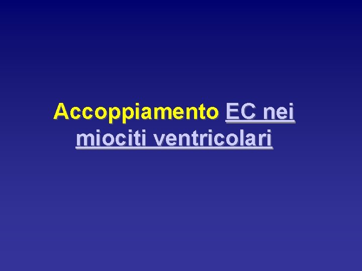 Accoppiamento EC nei miociti ventricolari 