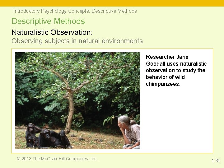 Introductory Psychology Concepts: Descriptive Methods Naturalistic Observation: Observing subjects in natural environments Researcher Jane