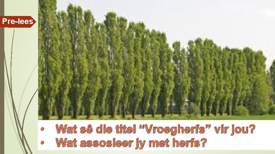 Pre-lees • Wat sê die titel “Vroegherfs” vir jou? • Wat assosieer jy met