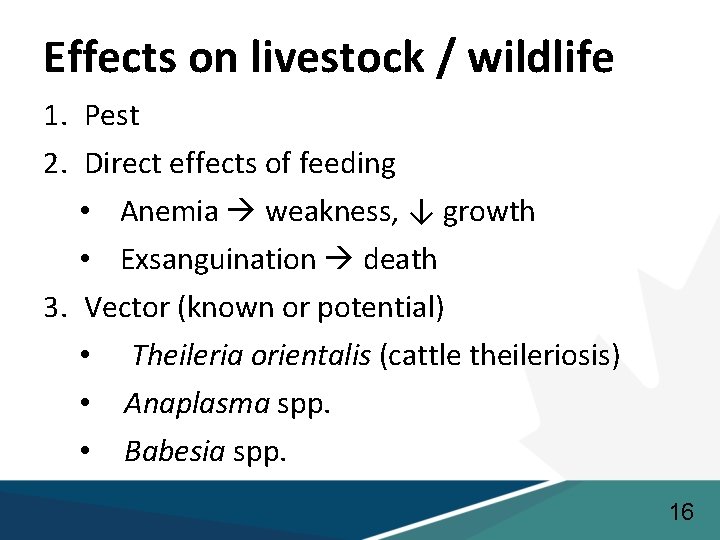 Effects on livestock / wildlife 1. Pest 2. Direct effects of feeding • Anemia