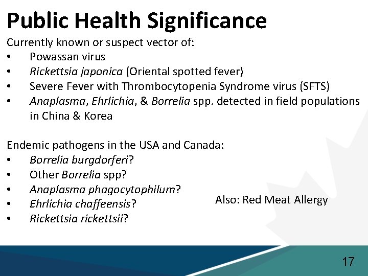 Public Health Significance Currently known or suspect vector of: • Powassan virus • Rickettsia