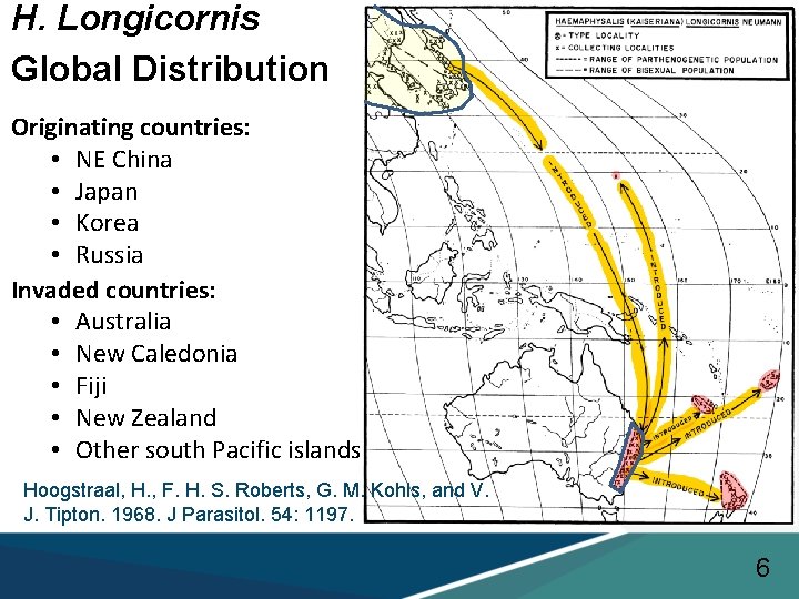 H. Longicornis Global Distribution Originating countries: • NE China • Japan • Korea •