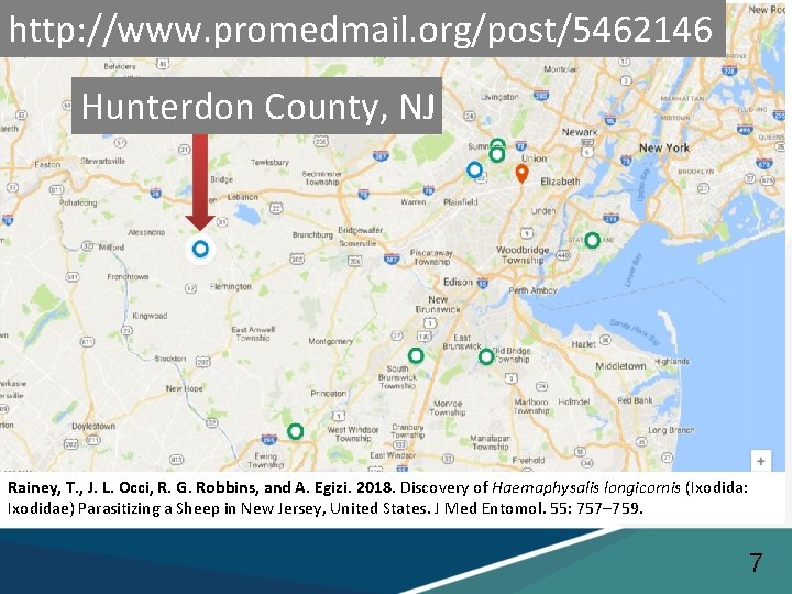 http: //www. promedmail. org/post/5462146 Hunterdon County, NJ Rainey, T. , J. L. Occi, R.