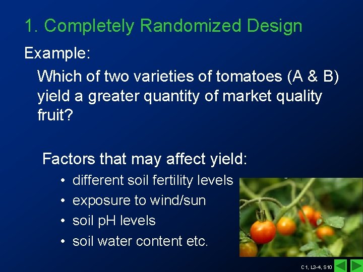 1. Completely Randomized Design Example: Which of two varieties of tomatoes (A & B) 1. Completely Randomized Design Example: Which of two varieties of tomatoes (A & B)