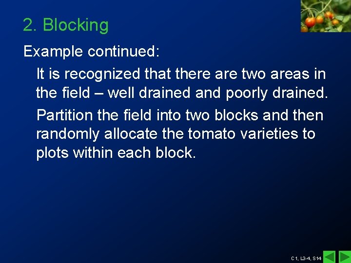 2. Blocking Example continued: It is recognized that there are two areas in the 2. Blocking Example continued: It is recognized that there are two areas in the