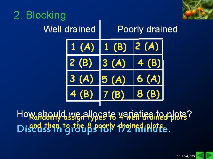 2. Blocking Well drained Poorly drained 1 (A) 1 (B) 2 (A) 2 (B) 2. Blocking Well drained Poorly drained 1 (A) 1 (B) 2 (A) 2 (B)