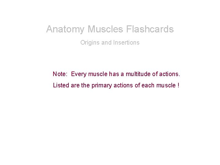 Anatomy Muscles Flashcards Origins and Insertions Note: Every muscle has a multitude of actions. Anatomy Muscles Flashcards Origins and Insertions Note: Every muscle has a multitude of actions.