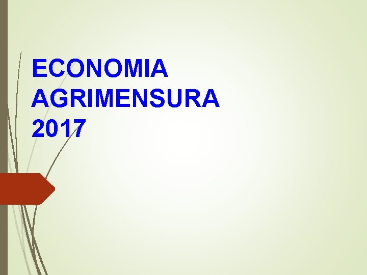 ECONOMIA AGRIMENSURA 2017 