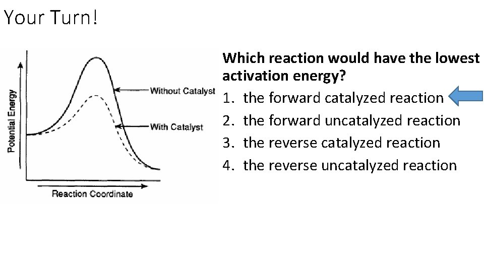 Your Turn! Which reaction would have the lowest activation energy? 1. the forward catalyzed