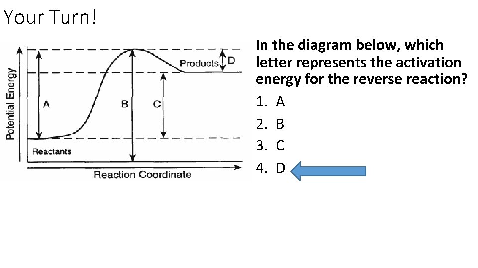 Your Turn! In the diagram below, which letter represents the activation energy for the