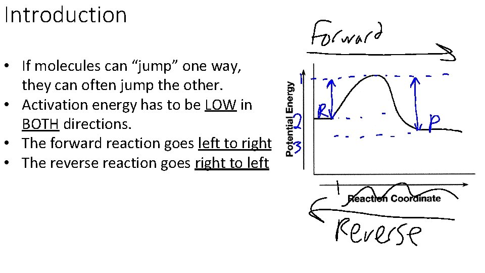 Introduction • If molecules can “jump” one way, they can often jump the other.