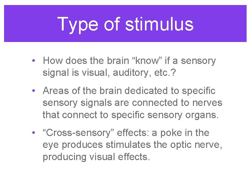 Nervous System and Senses Neural Activity The Neuron