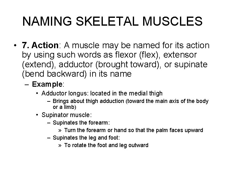 NAMING SKELETAL MUSCLES • 7. Action: A muscle may be named for its action