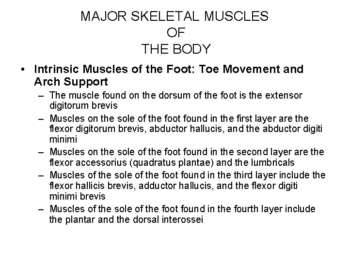 MAJOR SKELETAL MUSCLES OF THE BODY • Intrinsic Muscles of the Foot: Toe Movement