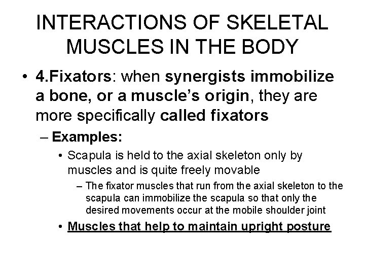 INTERACTIONS OF SKELETAL MUSCLES IN THE BODY • 4. Fixators: when synergists immobilize a