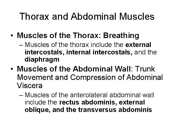 Thorax and Abdominal Muscles • Muscles of the Thorax: Breathing – Muscles of the