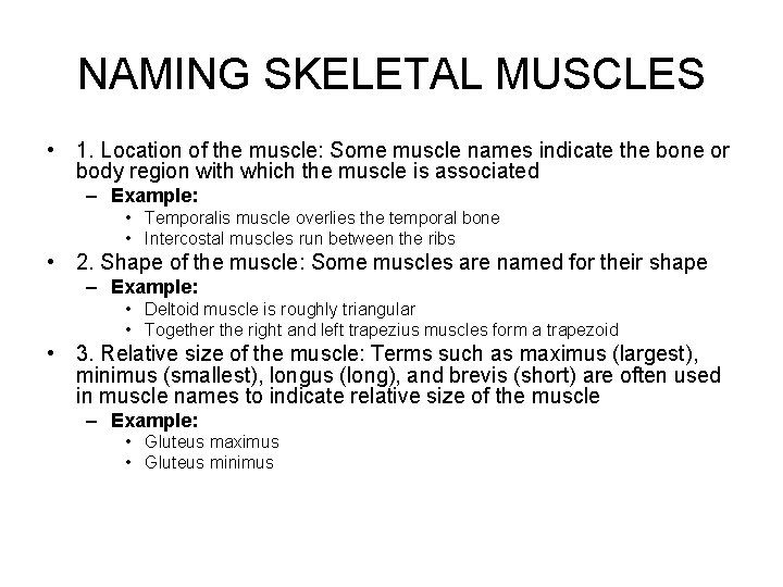 NAMING SKELETAL MUSCLES • 1. Location of the muscle: Some muscle names indicate the