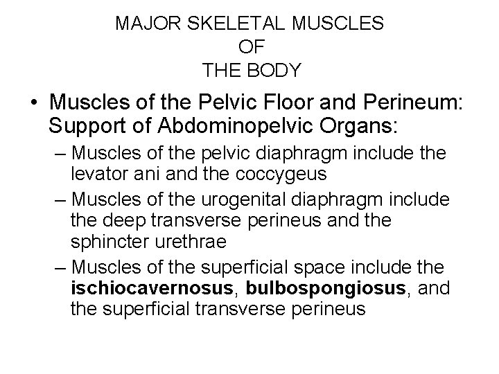 MAJOR SKELETAL MUSCLES OF THE BODY • Muscles of the Pelvic Floor and Perineum: