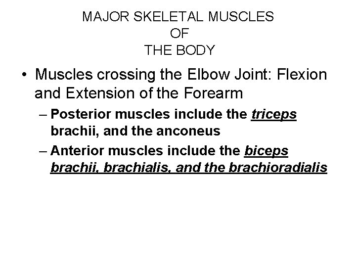 MAJOR SKELETAL MUSCLES OF THE BODY • Muscles crossing the Elbow Joint: Flexion and
