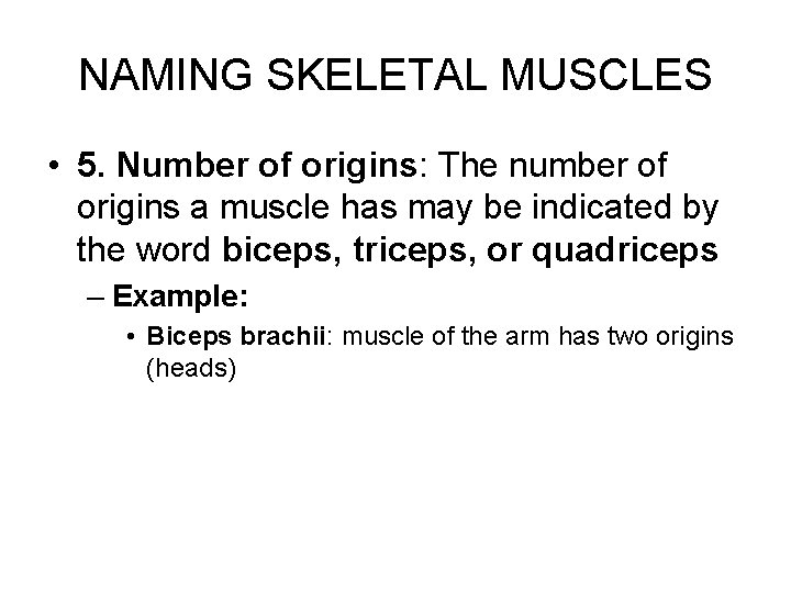 NAMING SKELETAL MUSCLES • 5. Number of origins: The number of origins a muscle