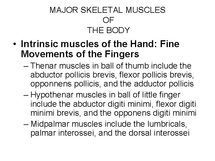 MAJOR SKELETAL MUSCLES OF THE BODY • Intrinsic muscles of the Hand: Fine Movements