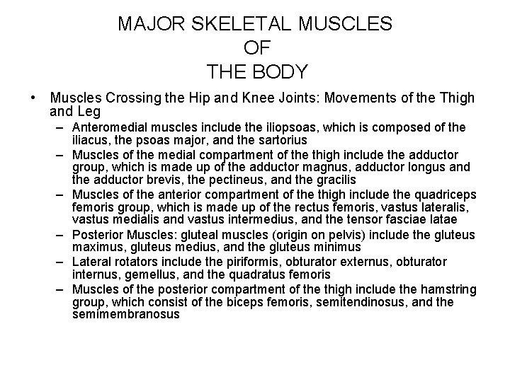 MAJOR SKELETAL MUSCLES OF THE BODY • Muscles Crossing the Hip and Knee Joints:
