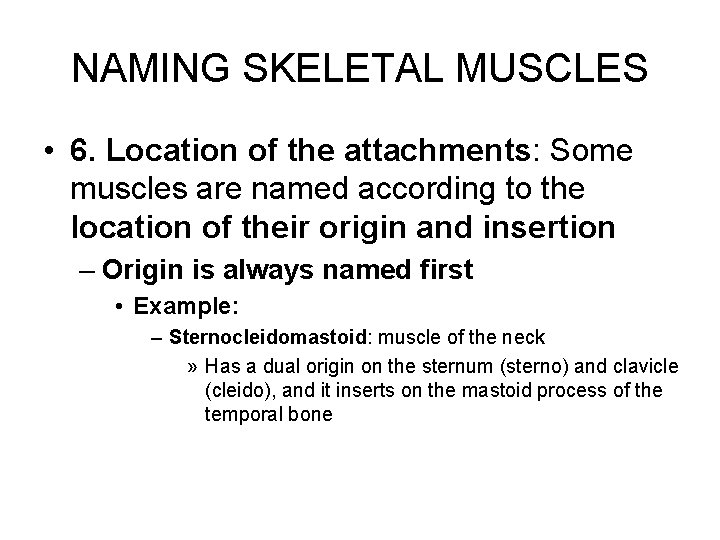 NAMING SKELETAL MUSCLES • 6. Location of the attachments: Some muscles are named according