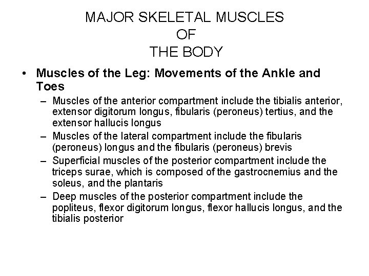 MAJOR SKELETAL MUSCLES OF THE BODY • Muscles of the Leg: Movements of the