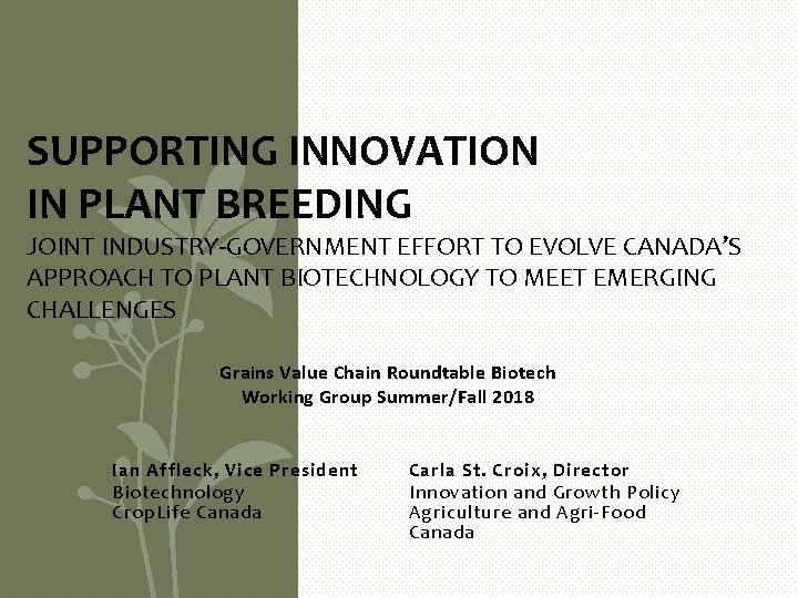 SUPPORTING INNOVATION IN PLANT BREEDING JOINT INDUSTRY-GOVERNMENT EFFORT TO EVOLVE CANADA’S APPROACH TO PLANT
