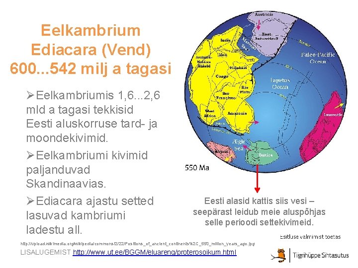 Eelkambrium Ediacara (Vend) 600. . . 542 milj a tagasi ØEelkambriumis 1, 6. .