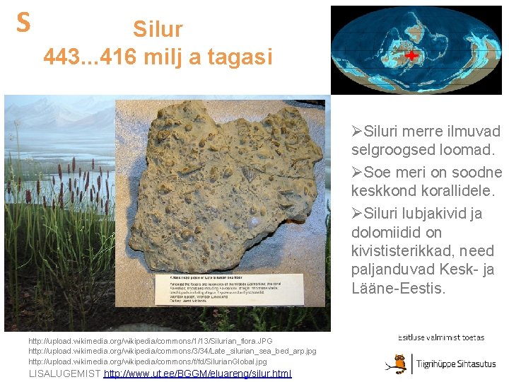S Silur 443. . . 416 milj a tagasi ØSiluri merre ilmuvad selgroogsed loomad.