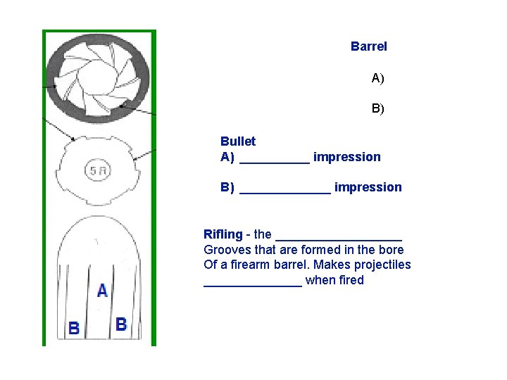 Barrel A) B) Bullet A) _____ impression B) _______ impression Rifling - the _________