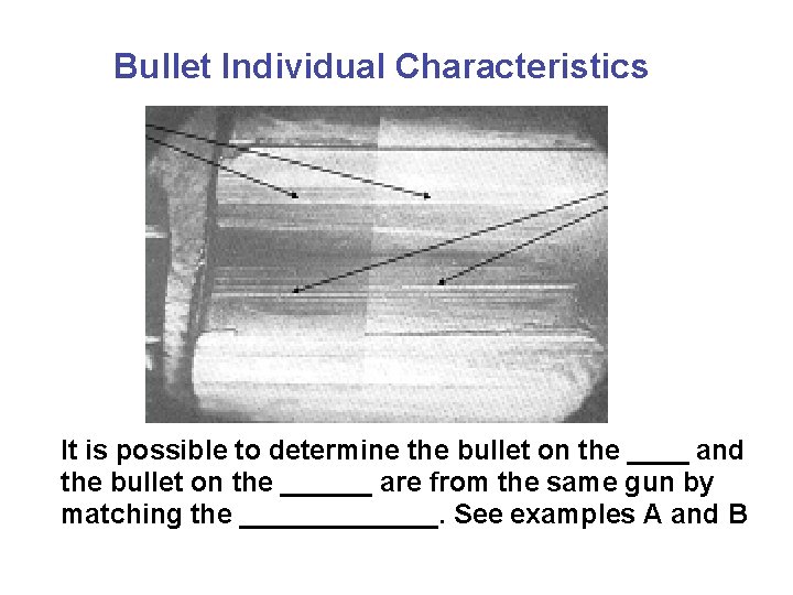 Bullet Individual Characteristics It is possible to determine the bullet on the ____ and