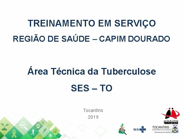 TREINAMENTO EM SERVIÇO REGIÃO DE SAÚDE – CAPIM DOURADO Área Técnica da Tuberculose SES