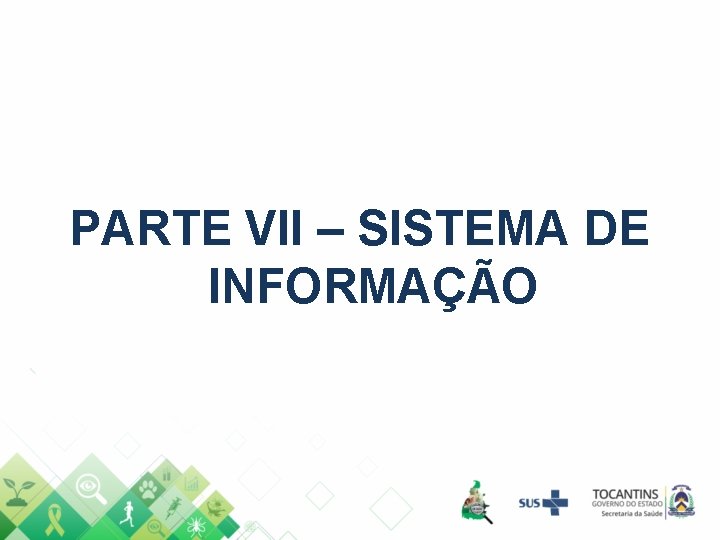 PARTE VII – SISTEMA DE INFORMAÇÃO 