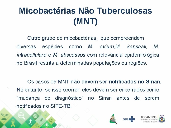 Micobactérias Não Tuberculosas (MNT) Outro grupo de micobactérias, que compreendem diversas espécies como M.