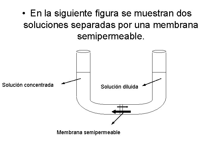  • En la siguiente figura se muestran dos soluciones separadas por una membrana