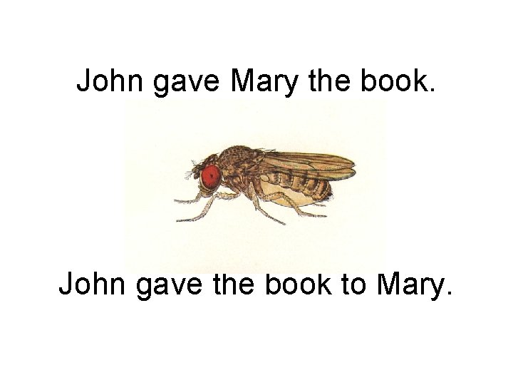 John gave Mary the book. John gave the book to Mary. 