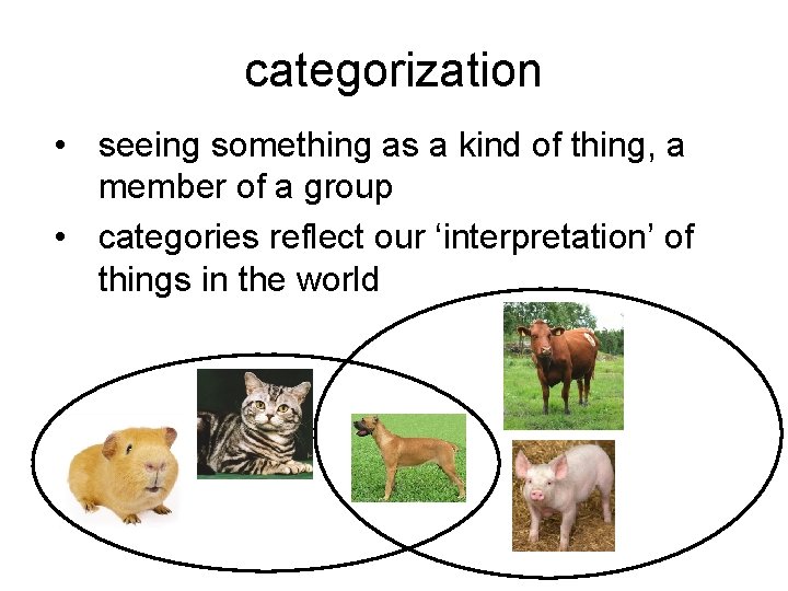 categorization • seeing something as a kind of thing, a member of a group