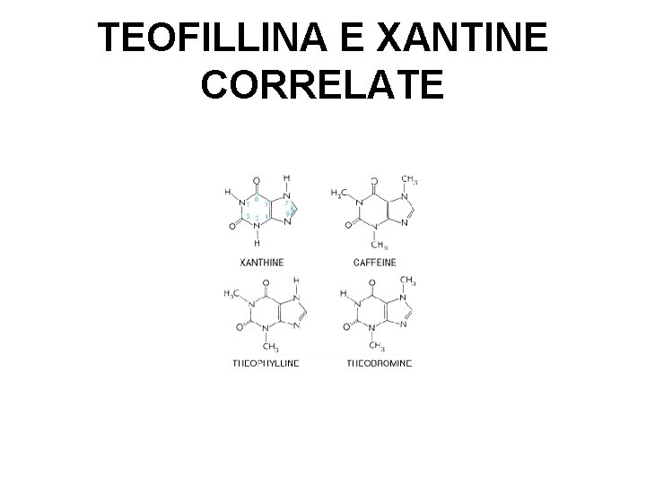 TEOFILLINA E XANTINE CORRELATE 