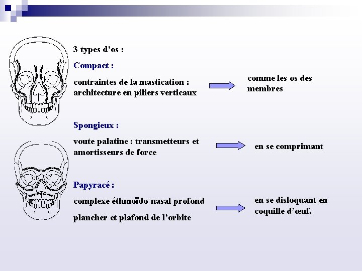 3 types d’os : Compact : contraintes de la mastication : architecture en piliers