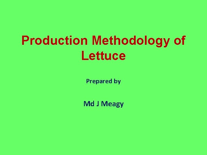 Production Methodology of Lettuce Prepared by Md J Meagy 