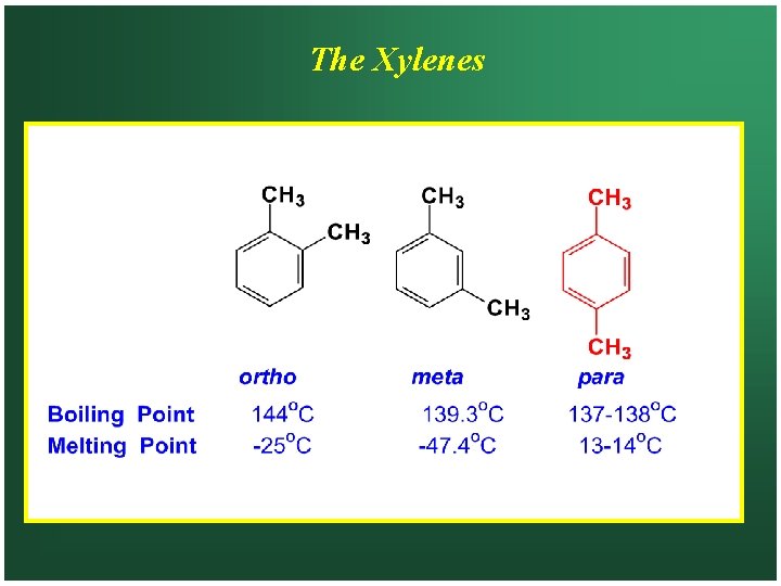 The Xylenes 