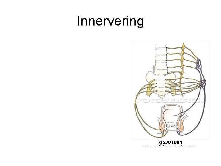 Innervering 