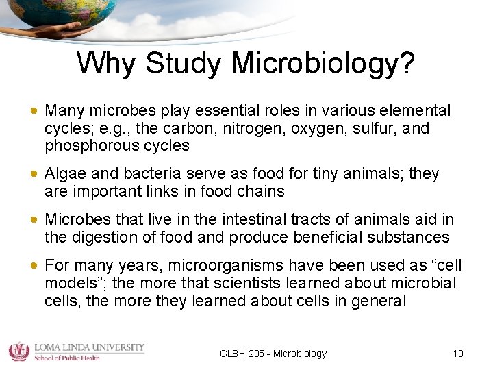 Why Study Microbiology? • Many microbes play essential roles in various elemental cycles; e.