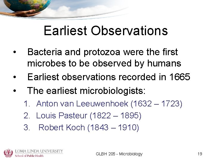 Earliest Observations • • • Bacteria and protozoa were the first microbes to be