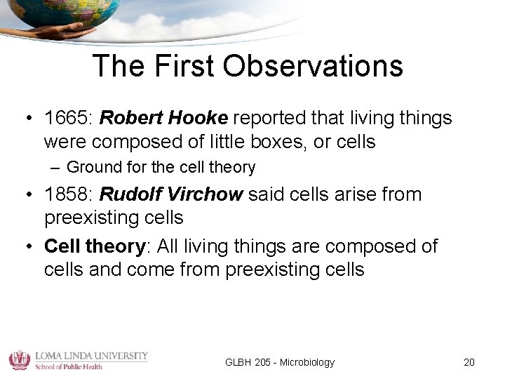The First Observations • 1665: Robert Hooke reported that living things were composed of
