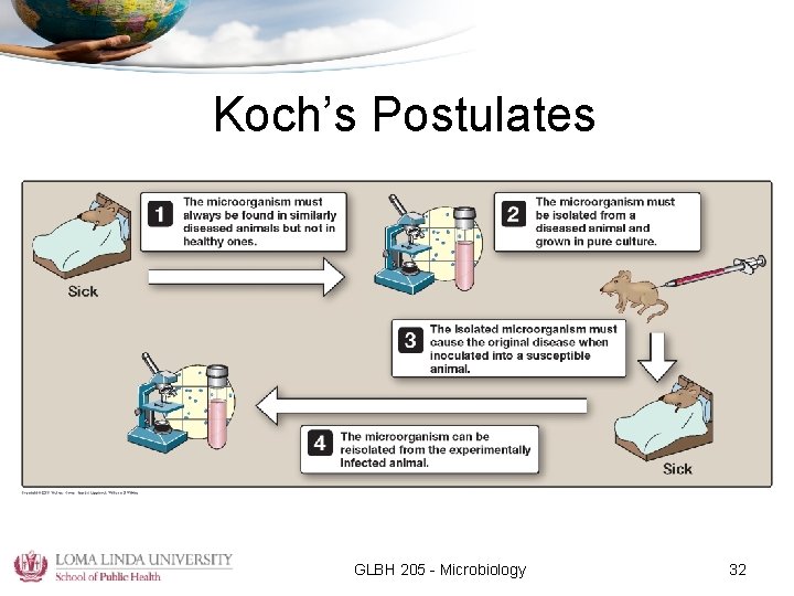 Koch’s Postulates GLBH 205 - Microbiology 32 