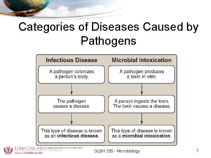 Categories of Diseases Caused by Pathogens GLBH 205 - Microbiology 7 